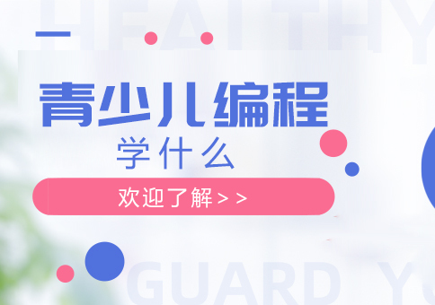 青少儿编程学什么