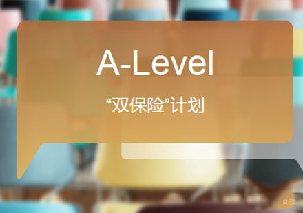 佛山A-LEVEL“双保险”计划