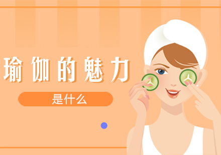 深度解析：瑜伽魅力背后的动作逻辑与练习智慧