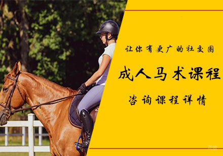 北京成人马术课程培训