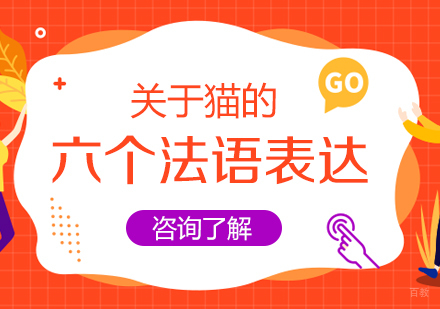 关于猫的六个法语表达