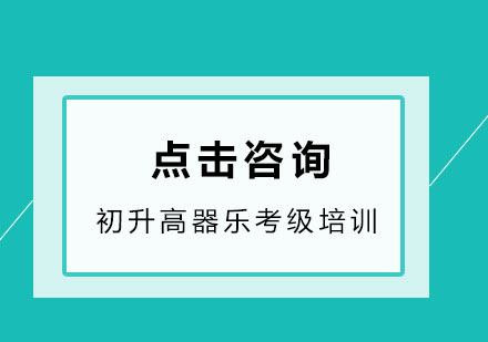 初升高器乐特考