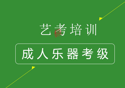 成人器乐考级