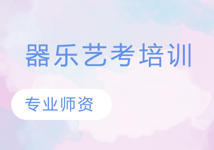 艺考器乐培训