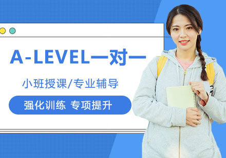 杭州A-LEVEL一对一