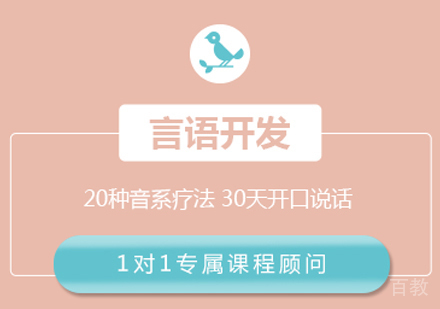 武汉言语开发课程