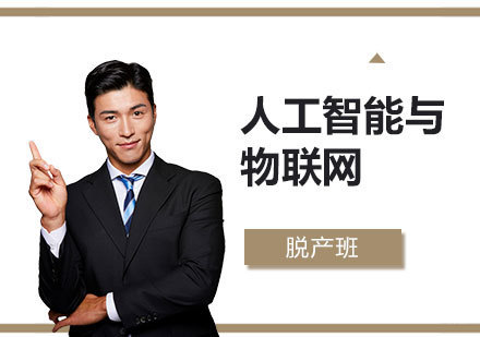 上海人工智能与物联网开发工程师脱产班