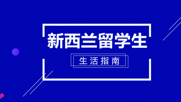 新西兰留学全攻略：从课堂适应到生活规划的实用指南