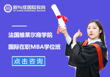 法国维莱尔商学院国际在职MBA学位班