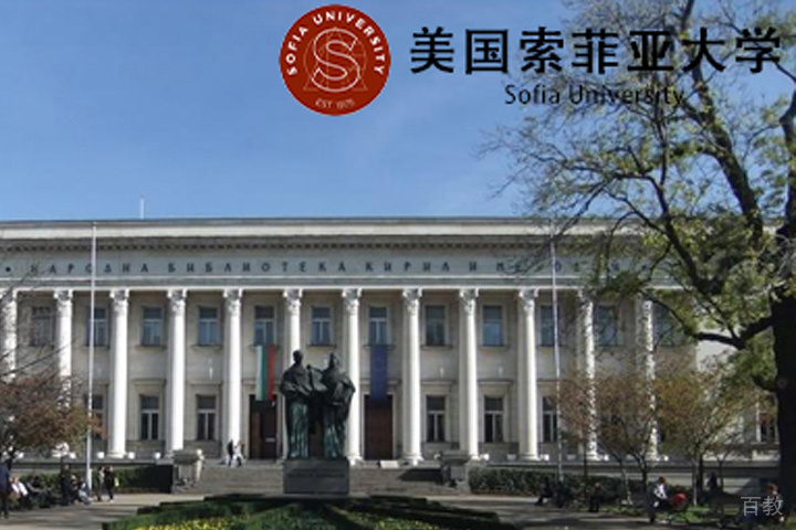 美国索菲亚大学
