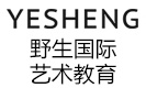 青岛野生国际艺术留学