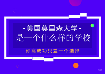 美国莫里森大学是一个什么样的学校