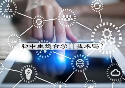初中生适合学习IT技术吗?