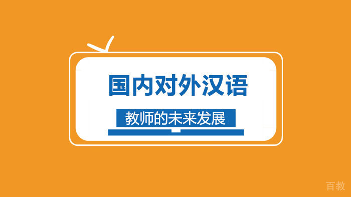 国内对外汉语教师的未来发展