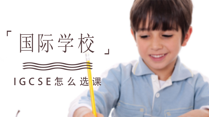 国际学校IGCSE选课全攻略：科目选择逻辑与A率数据深度解析