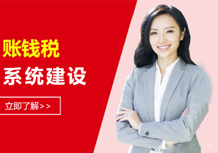 重庆帐钱税系统建设