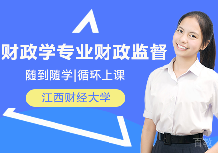 财政学专业财政监督方向课程
