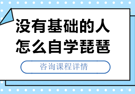 北京乐器-没有基础的人怎么自学琵琶