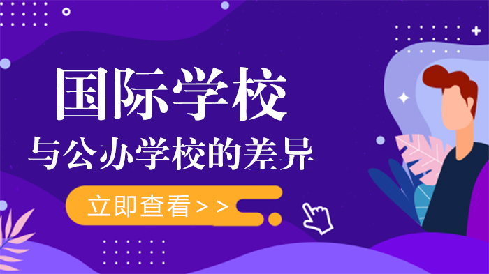国际学校与公办学校深度对比：从办学内核到成长路径的全面解析