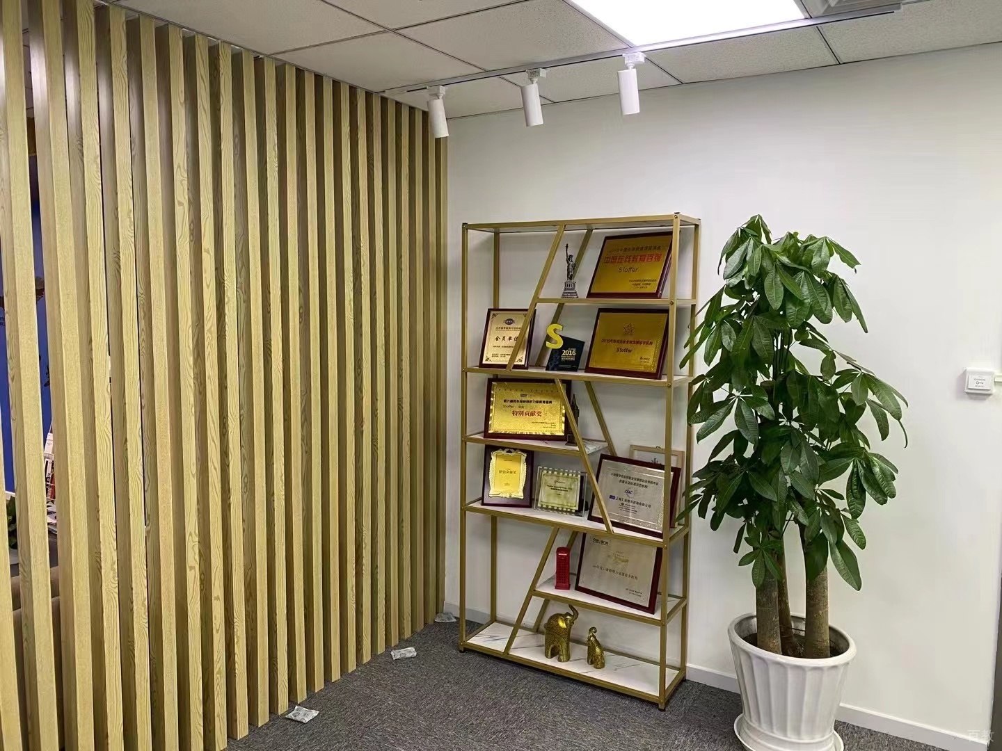 荣誉奖章