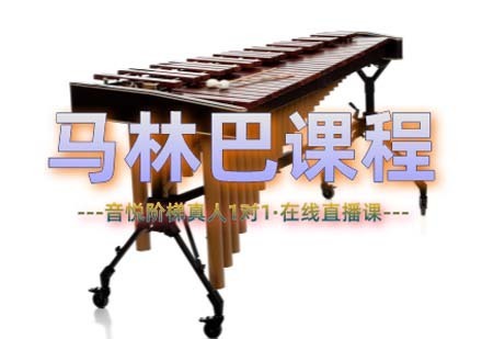 上海马林巴一对一在线培训课程