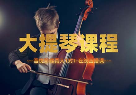 上海大提琴大提琴在线教学