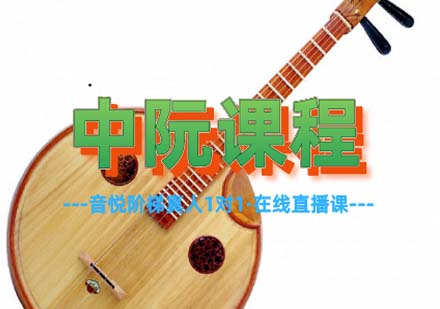 上海乐器中阮一对一在线网课