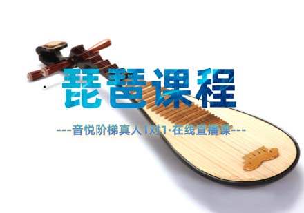 上海琵琶一对一网课