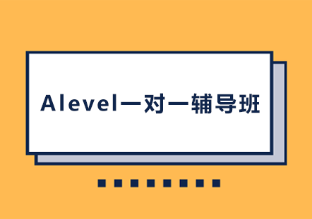 长沙A-LevelA-level一对一辅导班