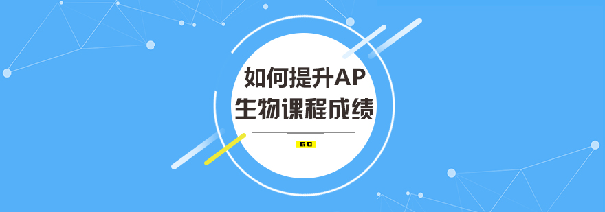AP生物成绩进阶指南：从选科逻辑到高效备考的全流程解析