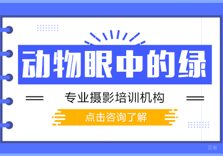 动物眼中的绿
