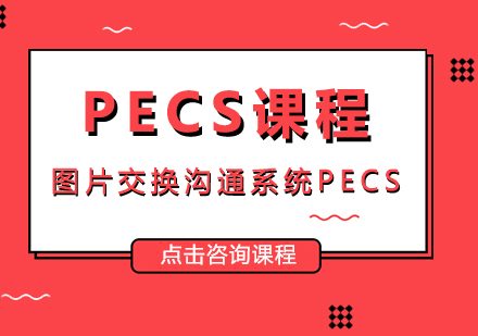 成都雅恩语言康复中心_PECS课程