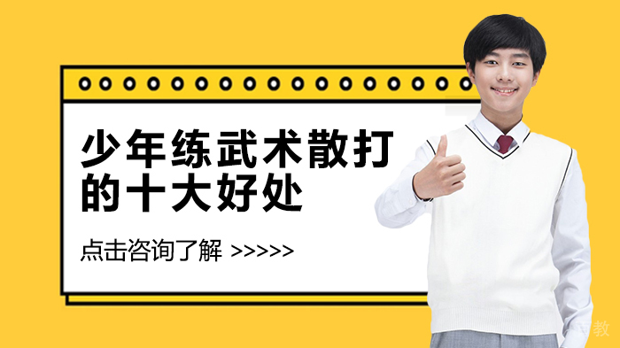 少年练武术散打的十大好处