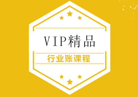 VIP精品行業賬課程