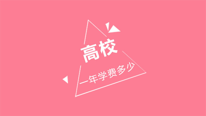 長(zhǎng)沙麓山中加學(xué)校學(xué)費(fèi)一年多少？