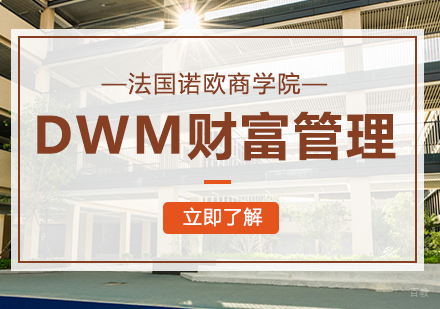 成都法国诺欧商学院DWM