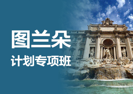 意大利图兰朵计划