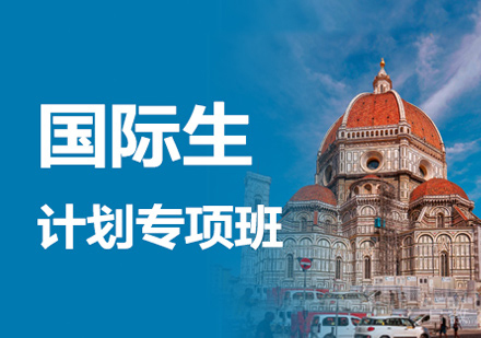 意大利国际生计划