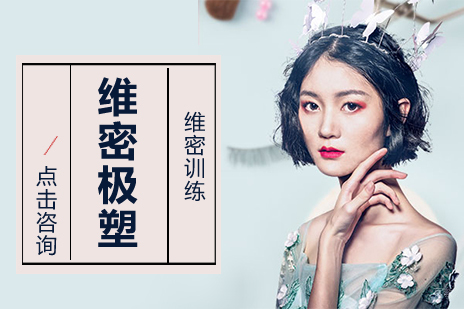 成都维密极塑培训