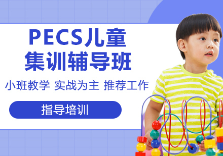 PECS儿童集训辅导班