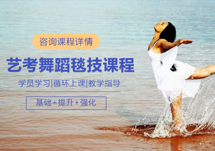 北京艺考舞蹈毯技课程培训班