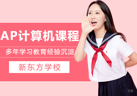 合肥AP计算机科学强化班