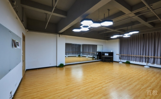 上海稻田学塾日本国际高中舞蹈教室