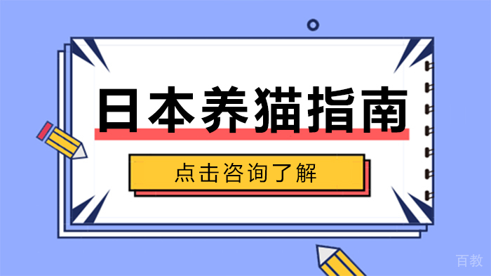 日本养猫指南