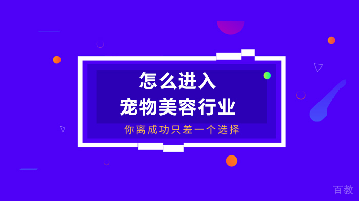 怎么进入宠物美容行业