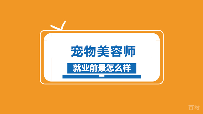 宠物美 容师前景怎么样