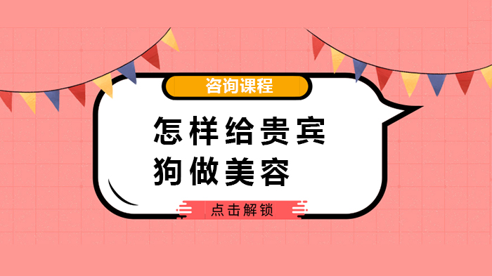 怎樣給貴賓狗做美 容