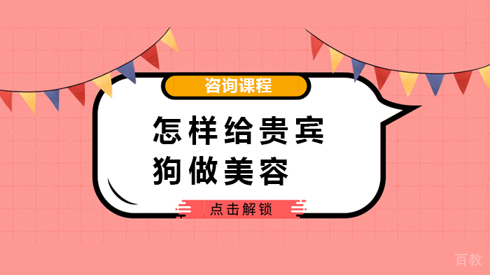 怎样给贵宾狗做美 容