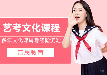 武汉艺考文化课校考班