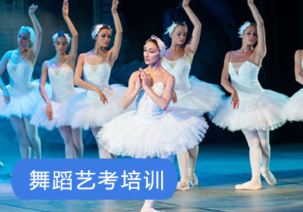 北京舞蹈-舞蹈艺考生需要学习哪些课程